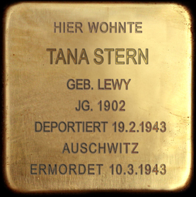 Tana Stern